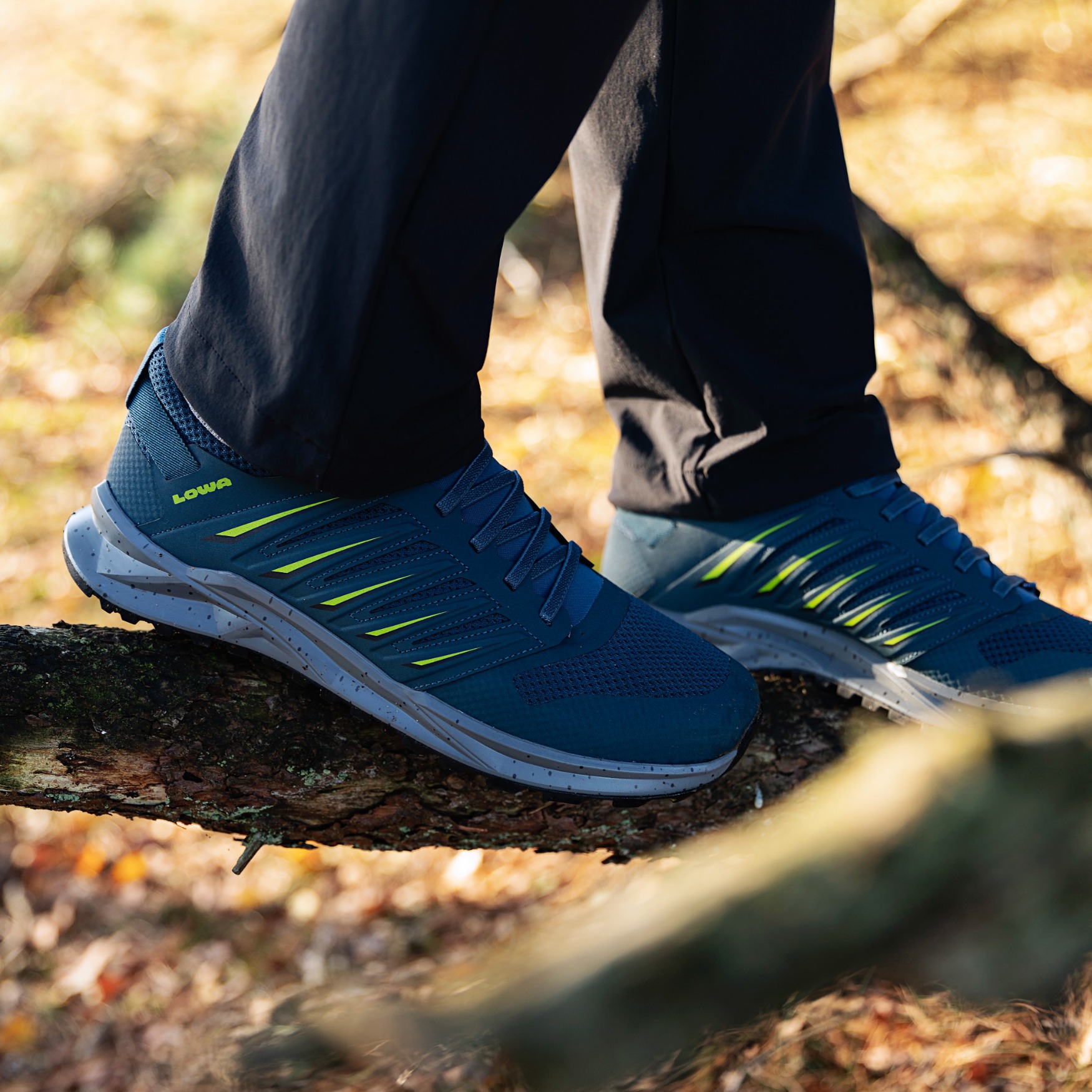 wandelschoenen