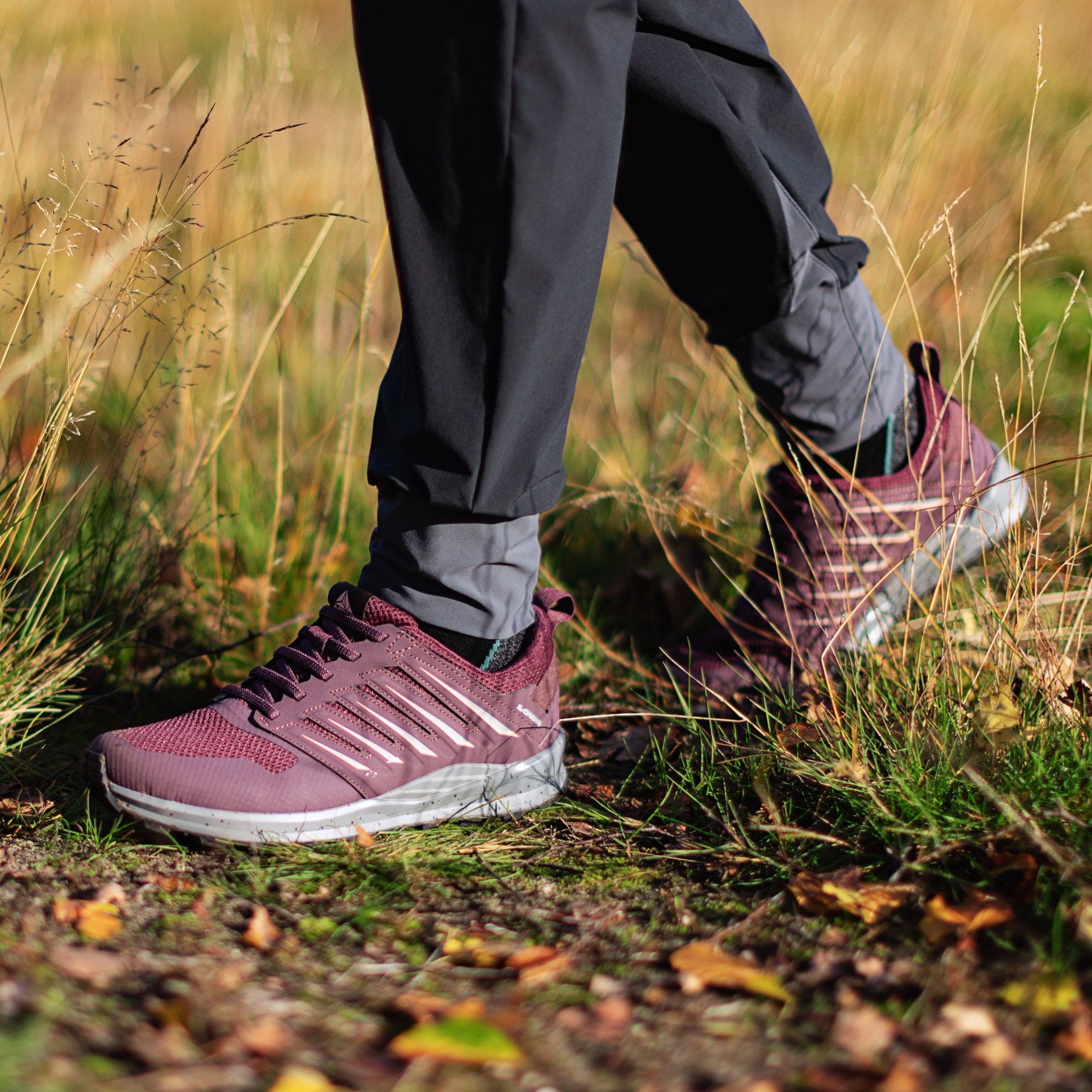 wandelschoenen