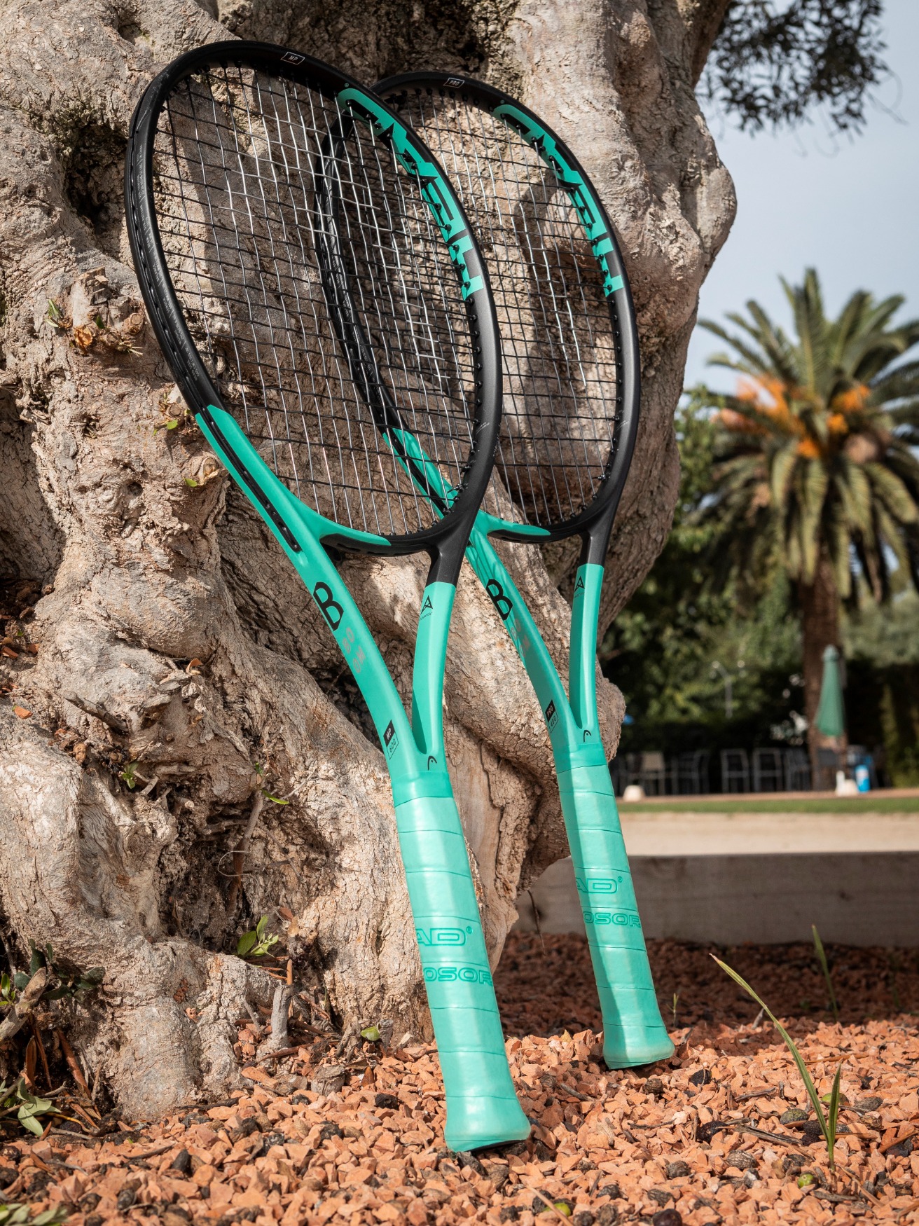 tennisracket